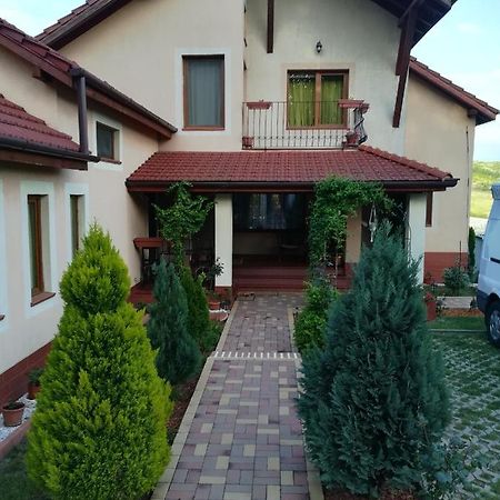 Casa Doina Διαμέρισμα Băile Felix Εξωτερικό φωτογραφία