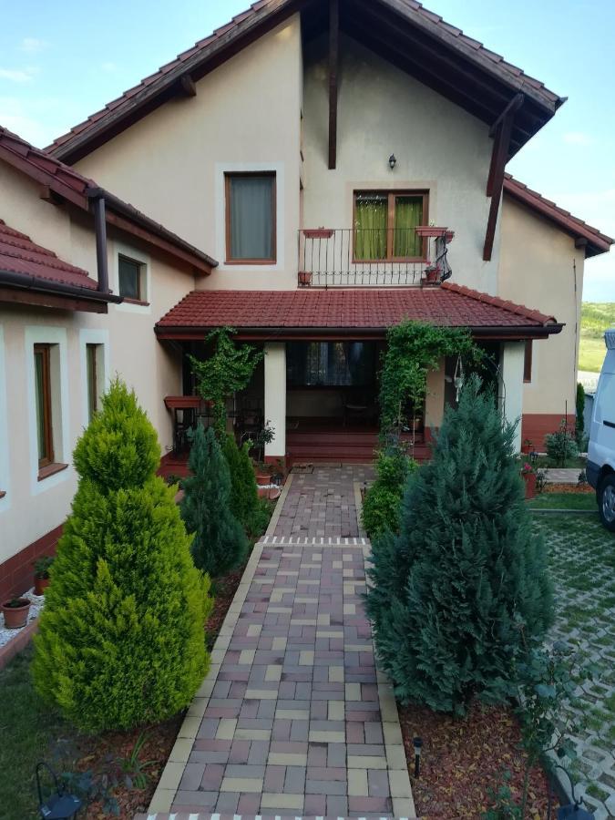 Casa Doina Διαμέρισμα Băile Felix Εξωτερικό φωτογραφία