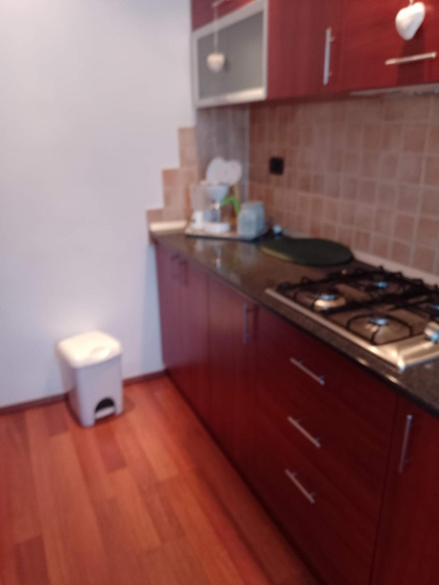 Casa Doina Διαμέρισμα Băile Felix Εξωτερικό φωτογραφία