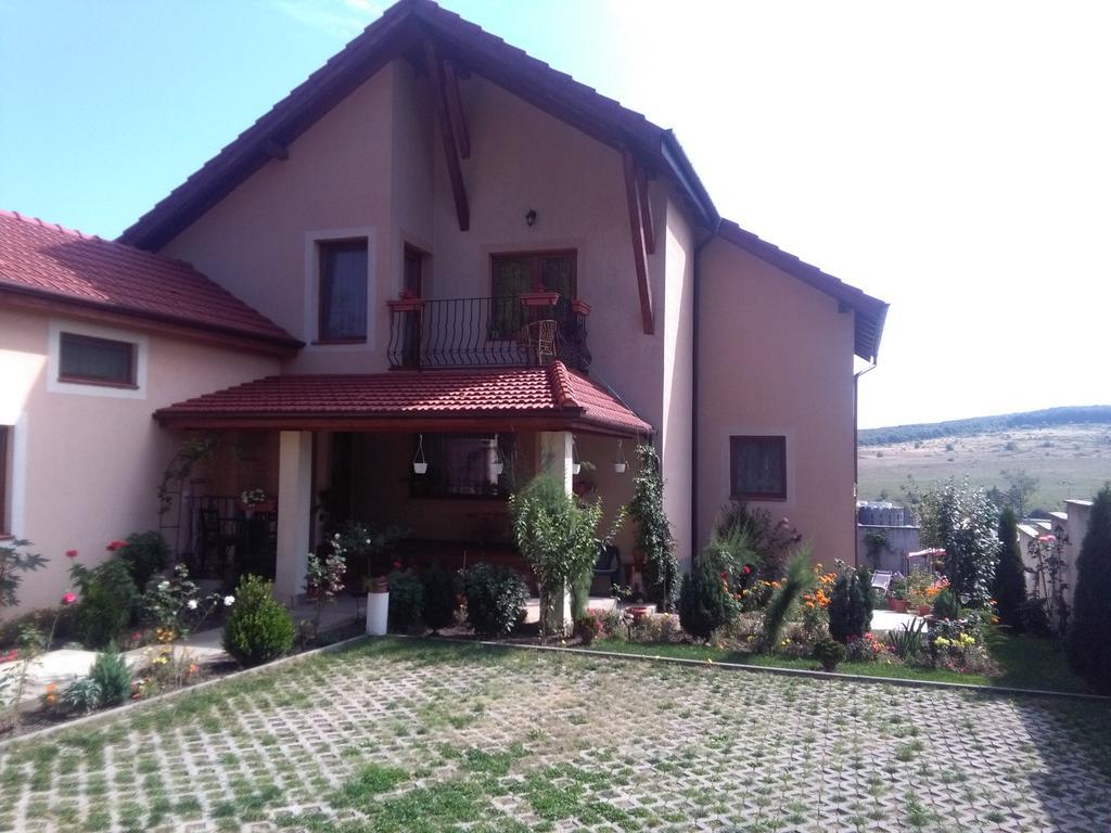 Casa Doina Διαμέρισμα Băile Felix Εξωτερικό φωτογραφία