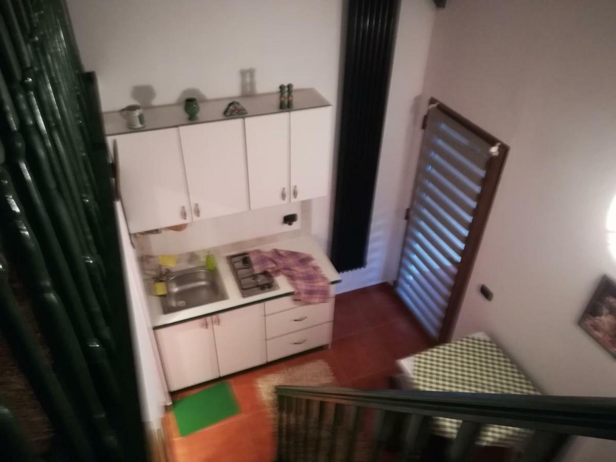 Casa Doina Διαμέρισμα Băile Felix Εξωτερικό φωτογραφία